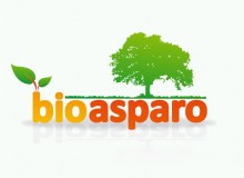 Bio-asparo – sklep internetowy ze zdrową żywnością